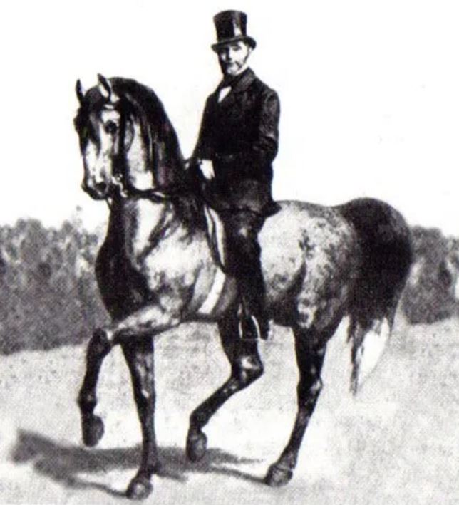 Etching of Steinbrecht